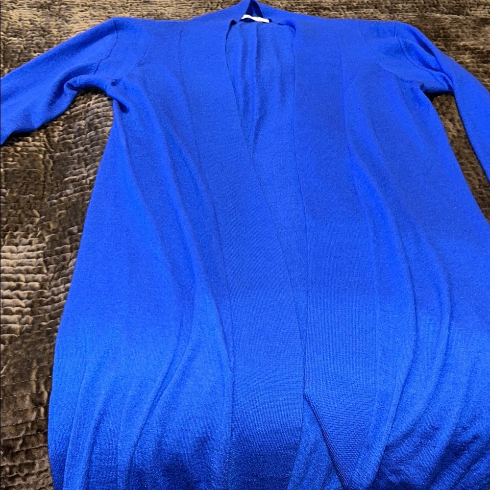 Hadleigh’s Vibrant Blue Long Sleeve sweater